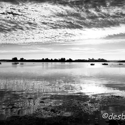 2017-08-11-308morbihanD810-Modifier