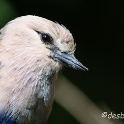2014-08-22 16doueD800E
