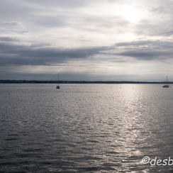 2016-07-21-019guerandeD810