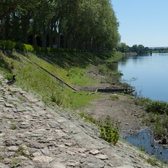 20040518 077 D70cravantchinon