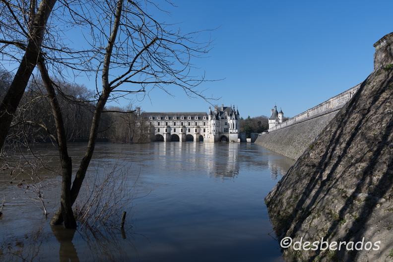 2018-03-20-020chenonceauD850.jpg