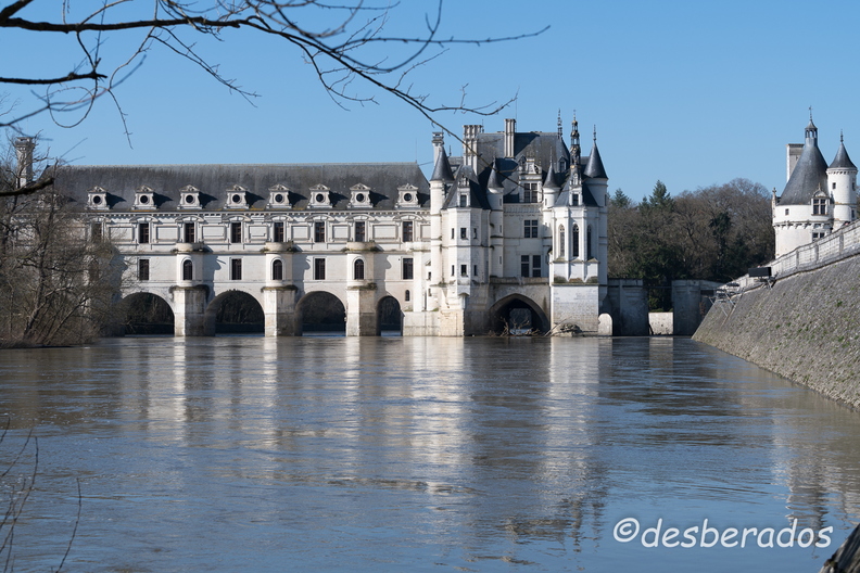 2018-03-20-024chenonceauD850.jpg