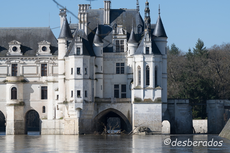 2018-03-20-025chenonceauD850.jpg