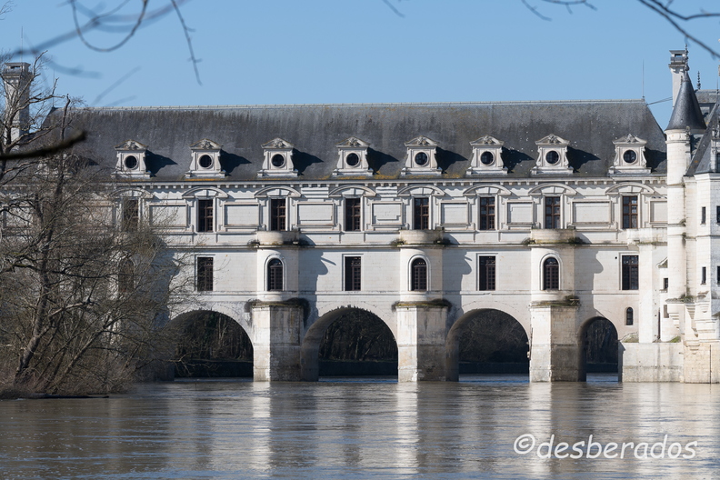2018-03-20-026chenonceauD850.jpg