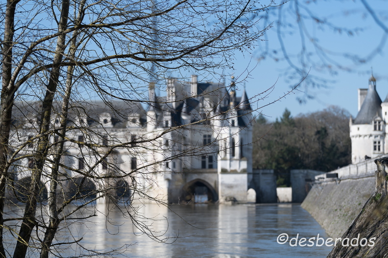 2018-03-20-027chenonceauD850.jpg