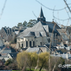 2010-03-22 14 candesD700