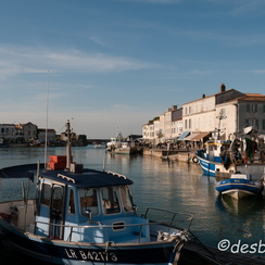 20080507 213-oleron re