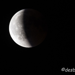 2018-07-27-025eclipseD850