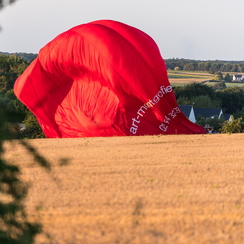 2018-08-11-092mongolfD850