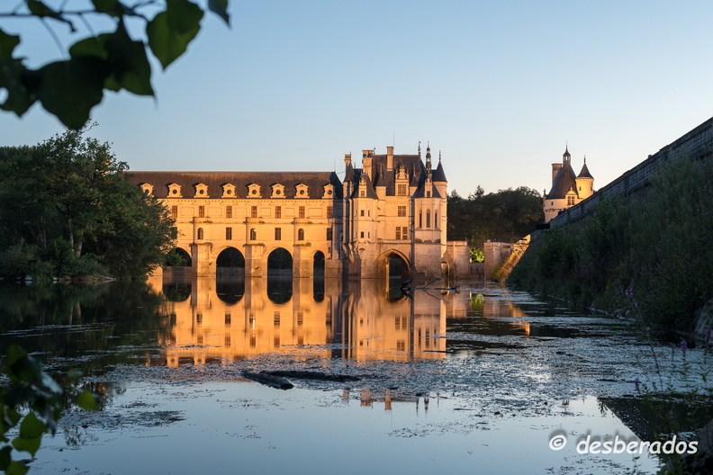 2018-08-11-049chenonceauD850.jpg