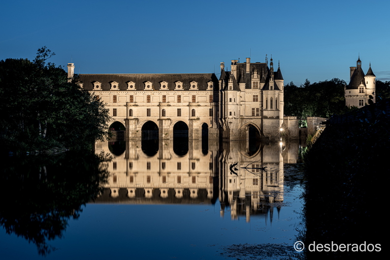 2018-08-11-066chenonceauD850.jpg