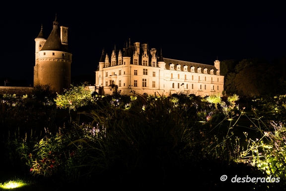 2018-08-11-081chenonceauD850