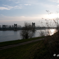 loire-20080102-1169