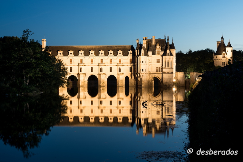 2018-08-11-066chenonceauD850.jpg