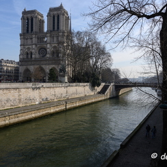 2019-02-21-596parisZ7