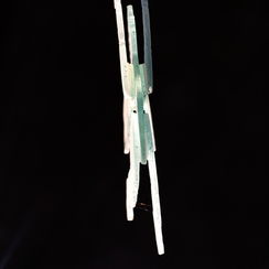 2019-05-24-283marcovilleD850