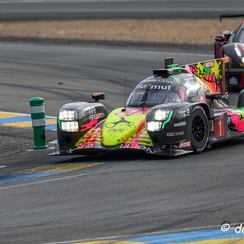2019-06-16-77424hduMans2019