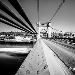 2019-06-27-58langeaisZ7