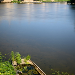 2019-07-02-99toursZ7
