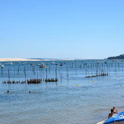 2019-07-10-12arcachonZ7