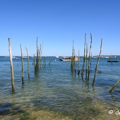 2019-07-10-23arcachonZ7