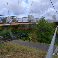 2019-09-26-2filarianeZ7