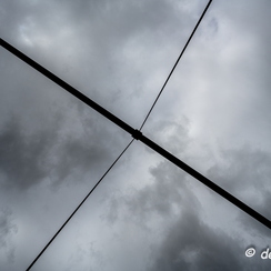 2019-09-26-138filarianeZ7