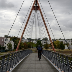 2019-09-26-145filarianeZ7