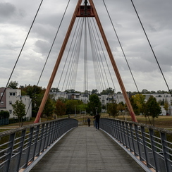 2019-09-26-146filarianeZ7