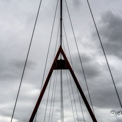 2019-09-26-151filarianeZ7