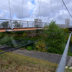 2019-09-26-2filarianeZ7