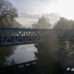 2019-10-22-3brumesZ7