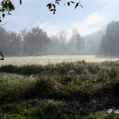 2019-10-22-12brumesZ7