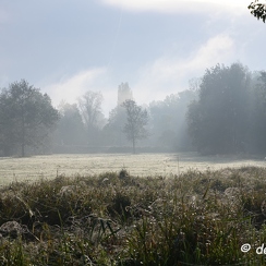 2019-10-22-13brumesZ7