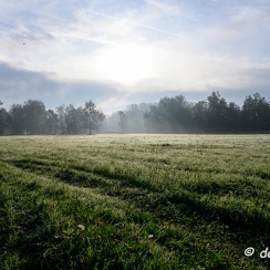 2019-10-22-16brumesZ7