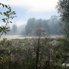 2019-10-22-17brumesZ7