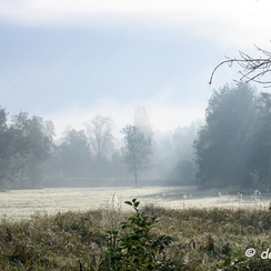 2019-10-22-18brumesZ7