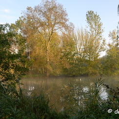 2019-10-22-20brumesZ7