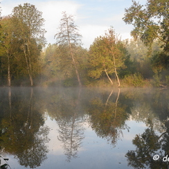 2019-10-22-31brumesZ7