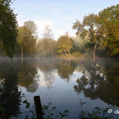 2019-10-22-31brumesZ7-2