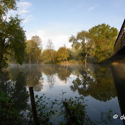 2019-10-22-39brumesZ7