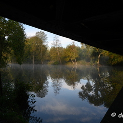 2019-10-22-55brumesZ7