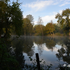 2019-10-22-56brumesZ7