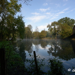 2019-10-22-57brumesZ7