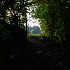 2019-10-22-59brumesZ7