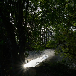 2019-10-22-65brumesZ7