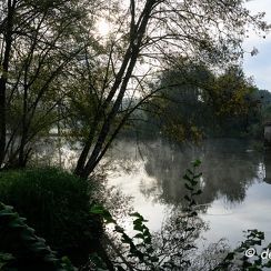 2019-10-22-82brumesZ7