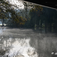 2019-10-22-91brumesZ7
