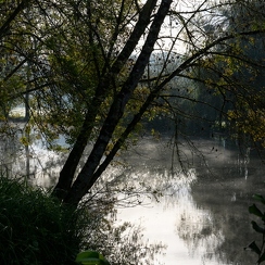 2019-10-22-93brumesZ7