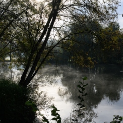 2019-10-22-95brumesZ7